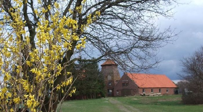 Fr�hling am M�hlenweg
